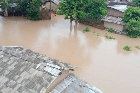 कैलालीको बाढी प्रभावित क्षेत्रमा सर्पको त्रास
